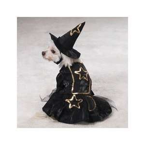 Casual Canine Black & Gold, Sequins & Lace Lil Witch Halloween Dog 