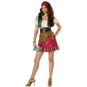 Lets Party By In Character Costumes Gypsy Teen Costume / Brown/Pink 