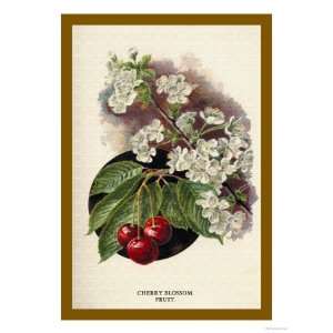 Cherry Blossom Fruit Giclee Poster Print by W.h.j. Boot, 24x32