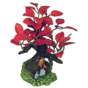  Bonsai Red Leaves   Extra Small   Part # EE862 Patio 