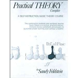   Practical Theory Complete (text only) by S.Feldstein Undefined Books