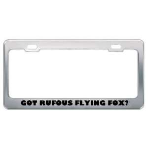 Got Rufous Flying Fox? Animals Pets Metal License Plate Frame Holder 