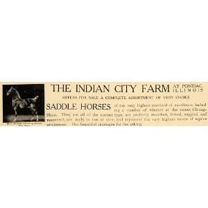   Ad Indian City Farm IL Saddle Horses Shan Mullagh   Original Print Ad