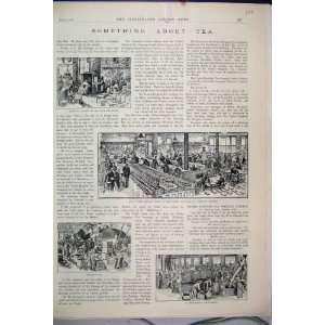  1893 Tea Chests Blending Tasting Rooms United Kingdom 