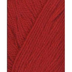  Vickie Howell Bargains Craft Yarn 775 Chica Arts, Crafts 