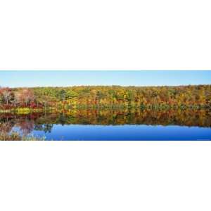 Reflection of Trees in Water, Lake Hamilton, Massachusetts 