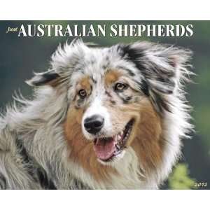  Australian Shepherds 2012 Wall Calendar