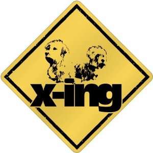  New  Dandie Dinmont Terrier X Ing / Xing  Crossing Dog 