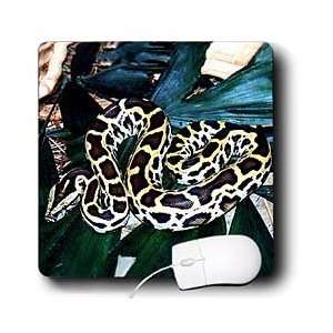  Snakes   Burmese Python   Mouse Pads Electronics