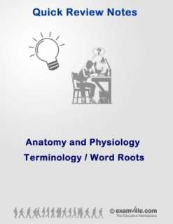   Terminologies Word Roots by Johnson, Examville  NOOK Book (eBook