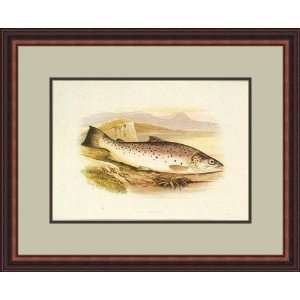  Great Lake Trout by Anonymous   Framed Artwork