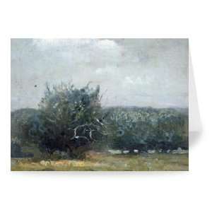 Apple Tree Field (oil on canvas) by Gail   Greeting Card (Pack of 2 