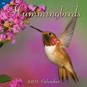  Hummingbirds 2011 Wall Calendar 14 X 13.5 Office 