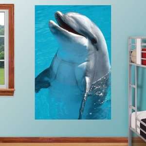  Sea World Fathead Wall Graphic Dolphin Mural Sports 
