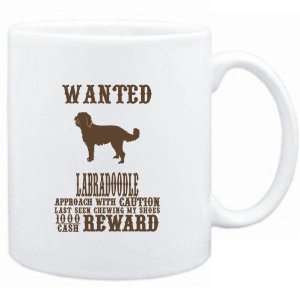   Wanted Labradoodle   $1000 Cash Reward  Dogs