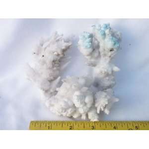 Aragonite Crystal Clusters, 2.7.2