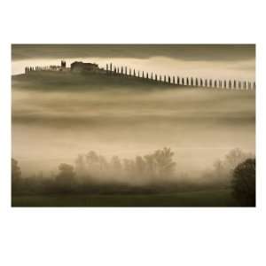  Trees in Mist II Giclee Poster Print by Jim Gamblin, 40x30 