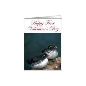  Valentine/1st Valentine/Couple Card Health & Personal 