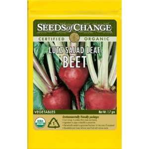   Change S10752 Certified Organic Lutz Salad Leaf Beet, 100 Seed Count