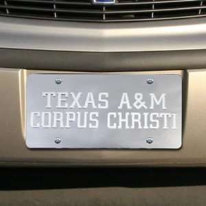  Texas A&M Corpus Christi Islanders Silver Mirrored Team 