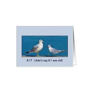  Birthday, 61st, Gull and Tern Birds Card Toys & Games