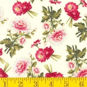  45 Wide Asters Ivory Fabric By The Yard Arts, Crafts 