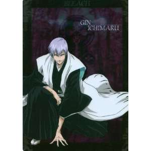 Bleach Poster TV Japanese Z 11 x 17 Inches   28cm x 44cm Johnny Yong 