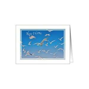  Birthday, Gulls and Terns in Flight Card Health 