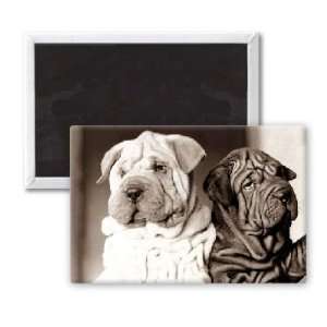  Hounds looking unimpressed.   3x2 inch Fridge Magnet 