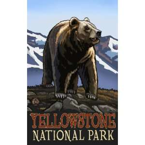  Northwest Art Mall Yellowstone National Park Grizzly Bear 