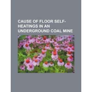   in an underground coal mine (9781234442699) U.S. Government Books