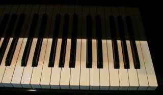 Bechstein 1979 Model E ( 9 2 ) Made for U. S. Eb.  