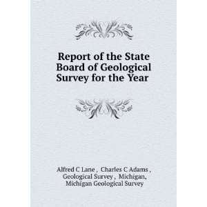   Survey , Michigan, Michigan Geological Survey Alfred C Lane  Books