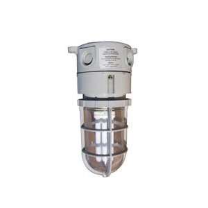  Class 1, Division 2 Non Metallic Corrosion Resistant Light 