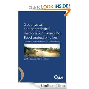 Geophysical and Geotechnical Methods for Diagnosing Flood Protection 