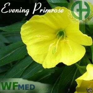 OZ Evening Primrose Oil 100% Pure & natural Uncut  
