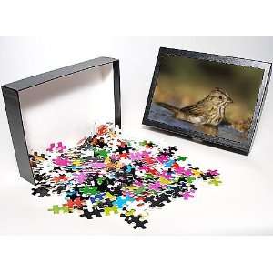   Jigsaw Puzzle of Lincolns Sparrow, from Danita Delimont Toys & Games