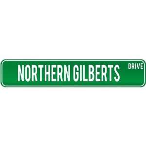 New  Northern Gilberts Drive   Sign / Signs  Kiribati Street Sign 