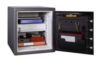 Sentry Electronic Fire Safe UL Classified 1.23 Cubic Foot SFW123GDC 