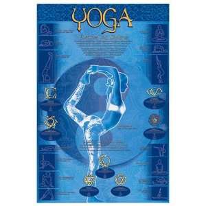  Yoga   Postures And Chakras by unknown. Size 36.00 X 54.00 