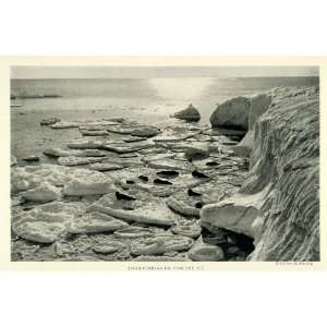 1922 Print Seal Circular Ice Patch Pancake Floes Antarctica Ross Sea 
