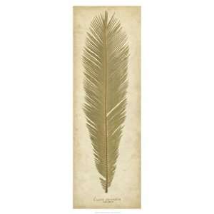  Sago Palm II   Poster by R. B. Davis (14x38)