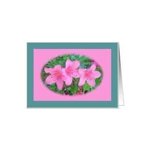  Pink Azalea Flower And Garden Blank Note Card Card Health 