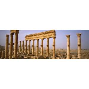  Old Ruins of Palmyra, Syria by Panoramic Images , 20x60 