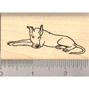  Great Dane Dog Rubber Stamp Arts, Crafts & Sewing