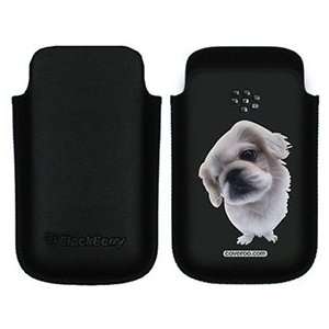  Pekingese on BlackBerry Leather Pocket Case  Players 