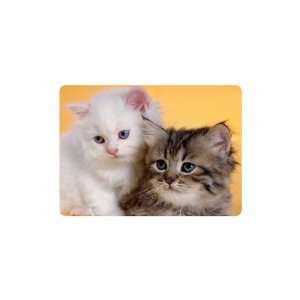  Brand New Kittens Mouse Pad Animals #558 