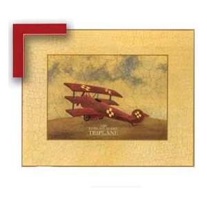  Triplane Art