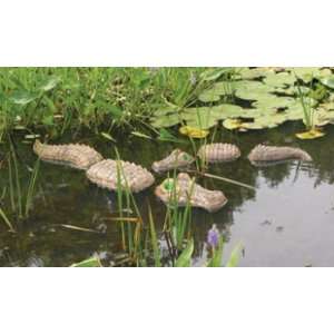  Floating Alligator (48) (OUT OF STOCK)
