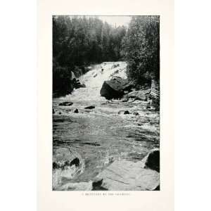 1902 Print Tributary Saguenay River Quebec Canada Landscape Rapids 
